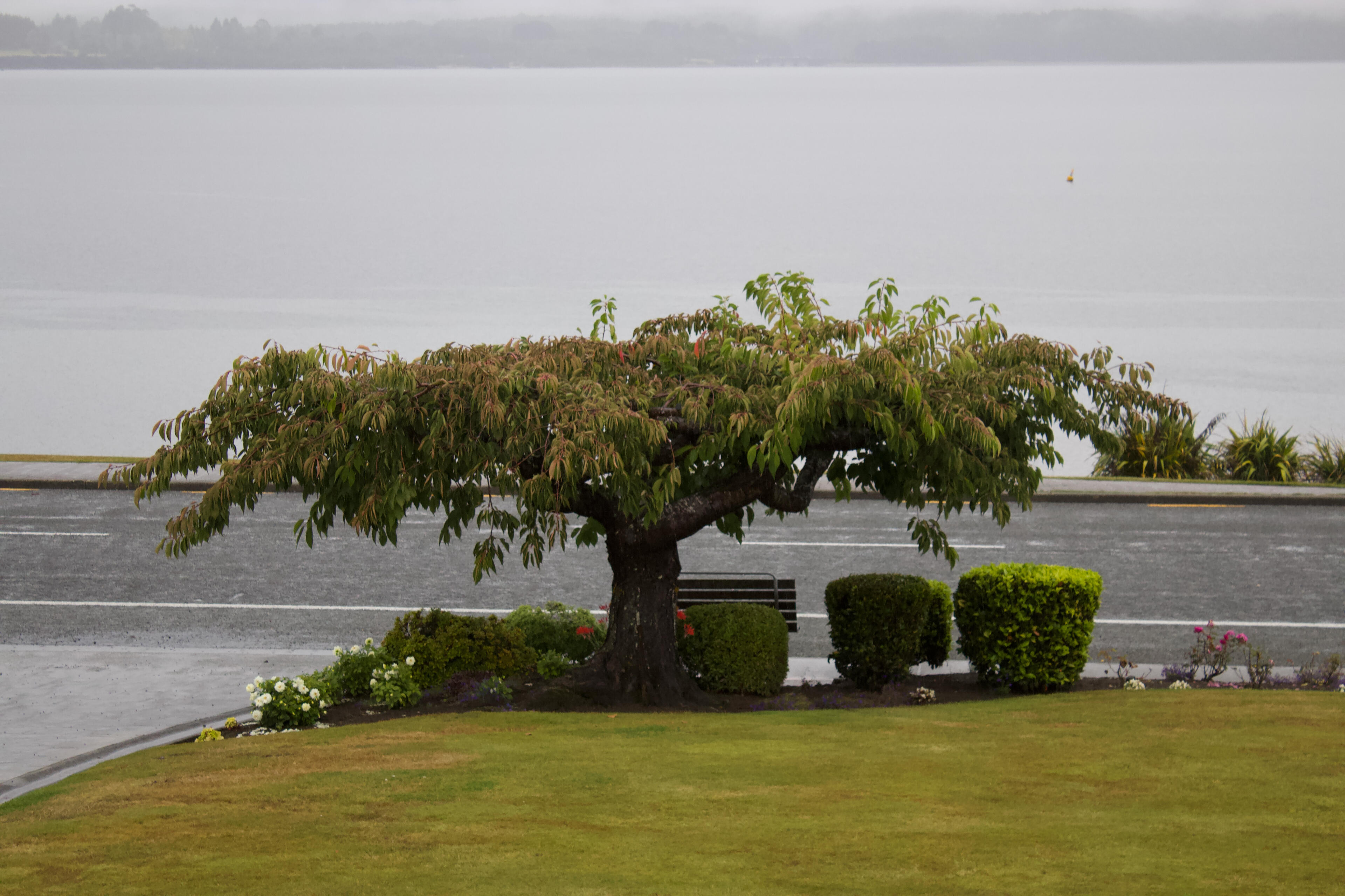 View from apartment (Te Anau)