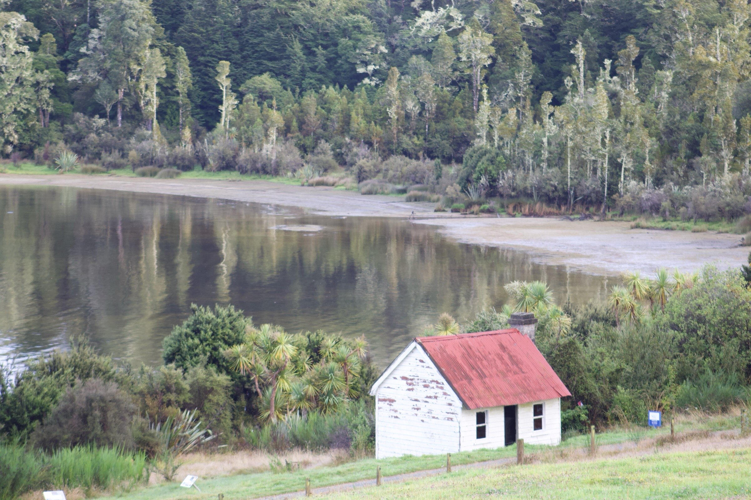 On the way to Milford Sound